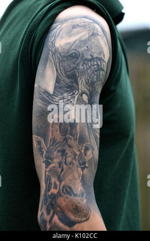 Cecil Porter Studios - Custom Tattoos and Illustration : Tattoos : Body  Part Leg : Giraffe