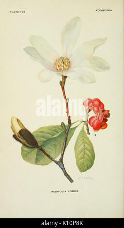 Addisonia, New York, New York Botanical Garden, 1916-1964, periodicals ...