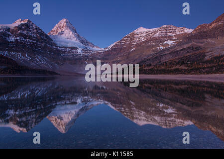 Mount Assiniboine reflected in Lage Magog before sunrise, Mount Assiniboine Provincial Park, Rocky Mountains, British Columbia, Canada. Stock Photo