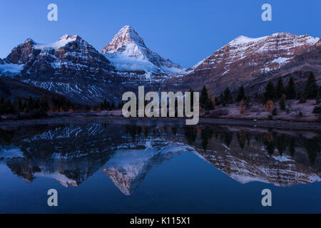 Mount Assiniboine reflected in a tarn near Lage Magog before sunrise, Mount Assiniboine Provincial Park, Rocky Mountains, British Columbia, Canada. Stock Photo