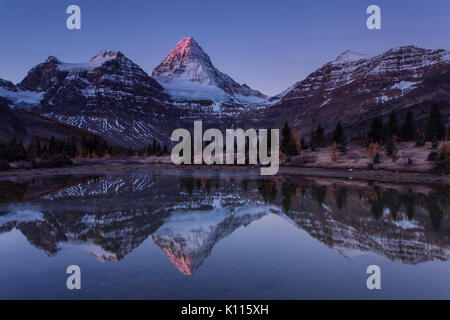 Early light on Mount Assiniboine reflected in a tarn near Lage Magog before sunrise, Mount Assiniboine Provincial Park, Rocky Mountains, British Colum Stock Photo