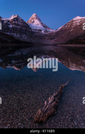 Mount Assiniboine reflected in Lage Magog before sunrise, Mount Assiniboine Provincial Park, Rocky Mountains, British Columbia, Canada. Stock Photo