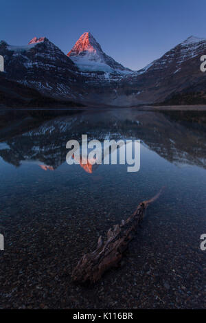 Mount Assiniboine reflected in Lage Magog at sunrise, Mount Assiniboine Provincial Park, Rocky Mountains, British Columbia, Canada. Stock Photo