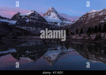 Mount Assiniboine reflected in a tarn near Lage Magog before sunrise, Mount Assiniboine Provincial Park, Rocky Mountains, British Columbia, Canada. Stock Photo