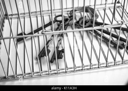 Keys locked inside a cage, a freedom of speech concept Stock Photo