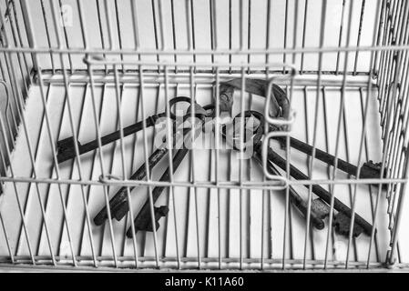 Keys locked inside a cage, a freedom of speech concept Stock Photo