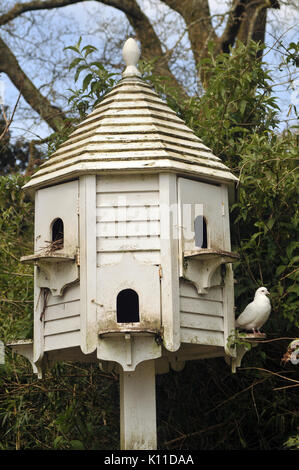 a dovecote shelter for birds in the garden nesting sites for doves and pigeons white collared and wood families avian refuges reserves for birds Stock Photo