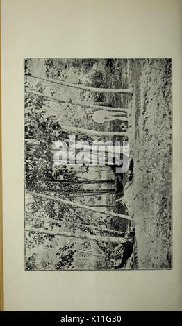 Agricultural bulletin of the Straits and Federated Malay States. New series BHL43583544 Stock Photo