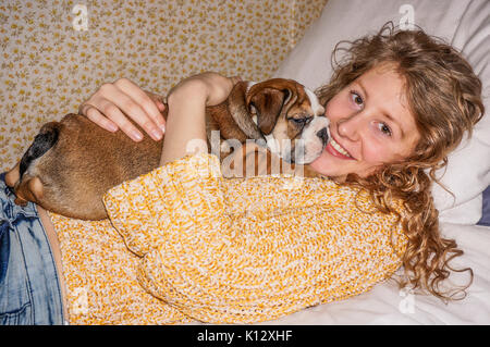 A pretty young woman lying down, holding a beautiful, nine weeks old, red British bulldog male puppy with a white face. Stock Photo