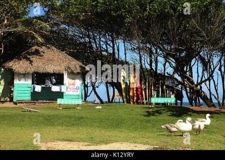 Playa del Encuentro, Cabarete (Dominican Republic). Stock Photo
