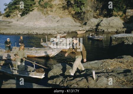 Japanese fishermen, several standing in small wooden boats in a harbor, using poles to propel the boats, one man with a hat and jacket striding along rocks towards the boats, Japan, 1952. Stock Photo