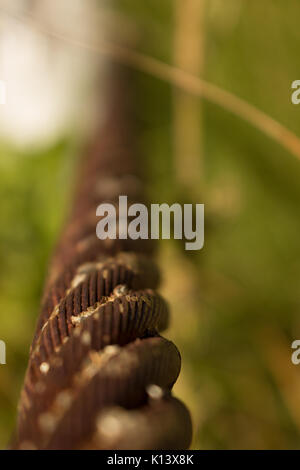 Old rusty cable barrier in tall grass Stock Photo