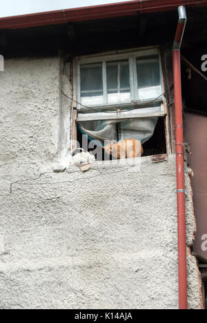 Edessa, Grece. Old town Stock Photo