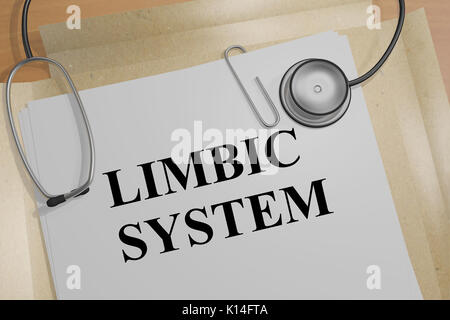 3D illustration of 'LIMBIC SYSTEM' title on a medical document Stock Photo