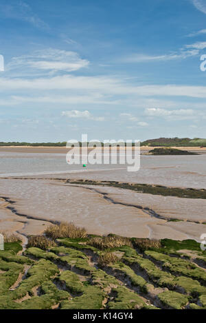 view across the mud flats in the River Axe estuary close to Brean Down in Somerset England on a sunny spring day Stock Photo