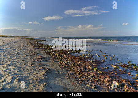 Baltic seashore at sunset with beach, fisherman in the surf Stock Photo