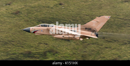 RAF Tornado GR4 on a low level flying sortie in the Mach Loop LFA7 in Operation Granby colour scheme. Hence the aircraft identified as 'Pinky'.  Schem