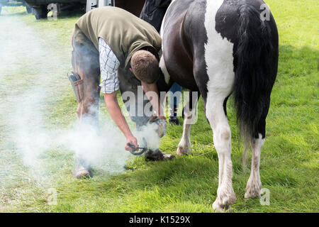 a farrier hot shoeing a horse at a country fayre in cornwall, england, uk, Stock Photo