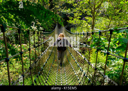 Woman on Burma suspension bridge in the Jungle, The Lost Gardens of Heligan, near St Austell, Cornwall, England, United Kingdom Stock Photo