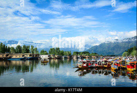 Srinagar, India - Jul 23, 2015. Wooden boats on Dal Lake in Srinagar, India. The lake is also an important source for commercial operations in fishing Stock Photo