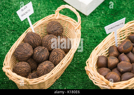 Labeled Baskets of Black Walnuts and Chestnuts in Shells Stock Photo