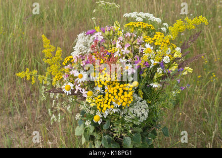 Common tansy (Tanacetum vulgare), oxeye daisy (Leucanthemum vulgare) and common soapwort (Saponaria officinalis) in a flower bouquet Stock Photo