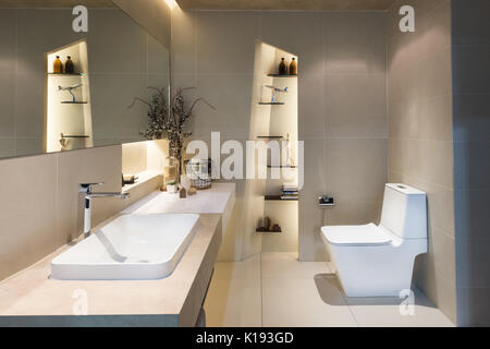 Modern interior of twin bathroom with sinks and toilet at home. Stock Photo