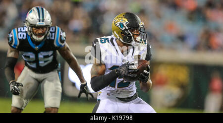 Jacksonville Jaguars: A Look at No. 15 Allen Robinson