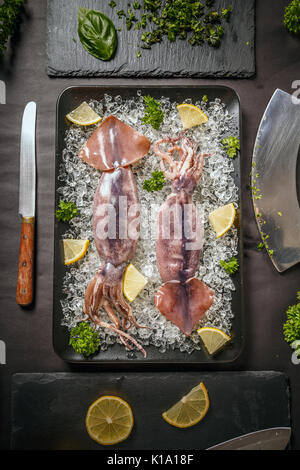 Top view of fresh raw squid on crushed ice Stock Photo