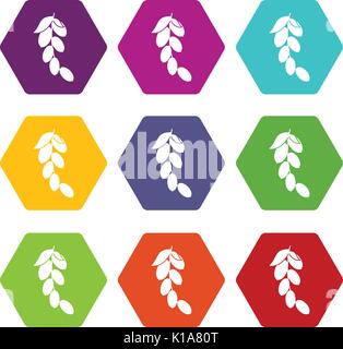 Branch of cornel or dogwood berries icon set color hexahedron Stock Vector