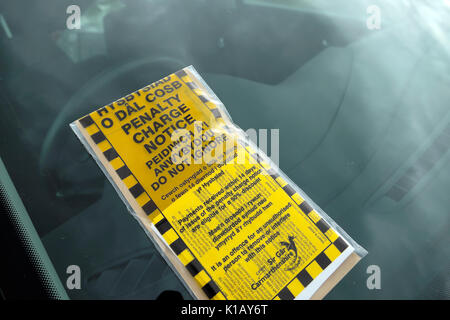 A bilingual Welsh English language penalty charge notice placed on the windscreen of a car in a carpark Carmarthenshire, Wales UK    KATHY DEWITT Stock Photo