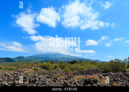 Stony view from foot of summer Etna volcano mountain, Sicily, Italy Stony view from foot of summer Etna volcano mountain, Sicily, Italy