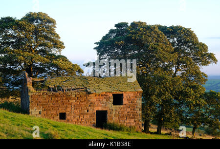 Abandoned farm building at The Roaches, Peak District National Park, Staffordshire, UK Stock Photo