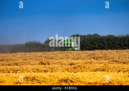 Combine Harvester in Kent Wheatfield Stock Photo