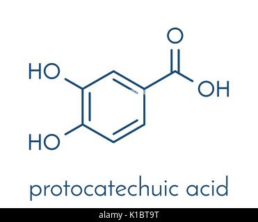 Protocatechuic acid (PCA) green tea antioxidant molecule. Skeletal formula. Stock Vector