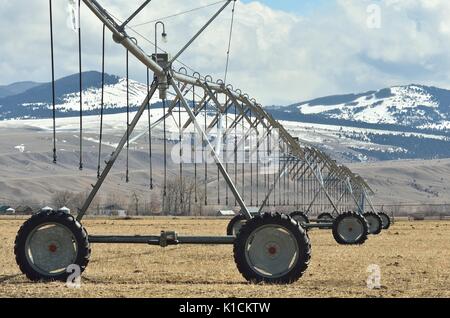 Automated sprinklers on hay field Stock Photo