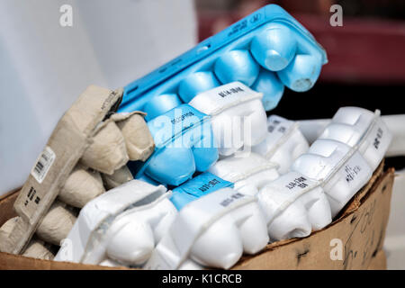 Empty egg cartons Stock Photo