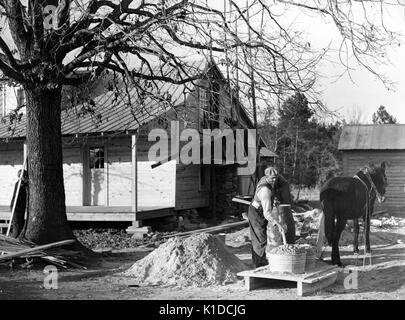 African-American Farm Security Administration rehabilitation client mixing cement to be used in construction of his new home, Raleigh, North Carolina, 1938. From the New York Public Library. Stock Photo