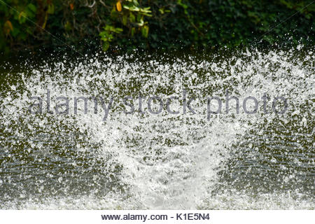 fountains 26th shropshire shrewsbury shining panagia