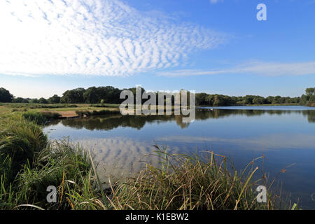 Richmond Park, SW London, UK. 27th Aug, 2017. A lovely start to the day at the Pen Ponds in Richmond Park, South West London UK. Credit: Julia Gavin/Alamy Live News Stock Photo