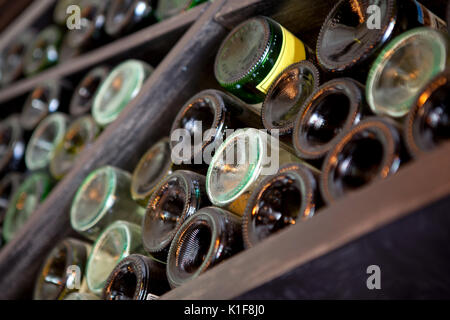 bottles in the cellar Stock Photo