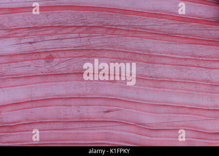 Red fabric folds over white wood background pattern Stock Photo