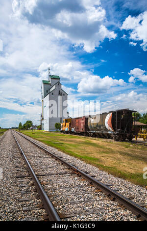 The historic grain elevator and train cars in Plum Coulee, Manitoba, Canada. Stock Photo