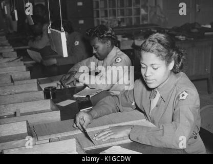 Two African-American members of the Women's Army Corps identifying incorrectly addressed mail for soldiers, Camp Brekinridge, Kentucky, November 30, 1943. From the New York Public Library. Stock Photo