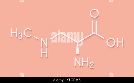 beta-Methylamino-L-alanine (BMAA) toxic amino acid molecule. Produced ...