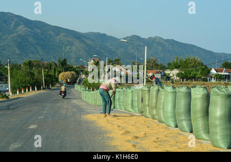 Nha Trang, Vietnam - Mar 21, 2016. People drying rice on rural road in Nha Trang, Vietnam. Nha Trang is a coastal city and capital of Khanh Hoa. Stock Photo