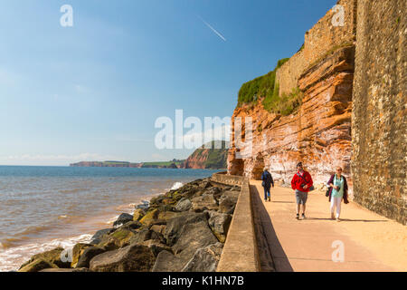 The undercliff walk at Sidmouth on the Jurassic Coast takes visitors past ancient sandstone cliffs, Devon, England, UK Stock Photo
