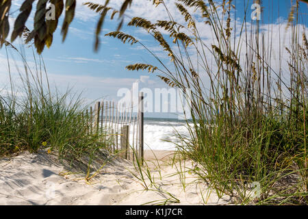 Crystal Coast - Emerald Isle Sea Oats and Sand Dunes leading to the Ocean Waves with Blue Skies. Summertime beach vacation OBX, NC. Stock Photo