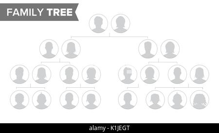 Genealogical Tree Template Vector. Family History Tree With Default People Portraits. Family Tree Chart Illustration Stock Vector