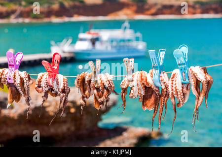 Drying the octopus in the sun in the seaside village of Plaka on the island of Crete in Greece Stock Photo